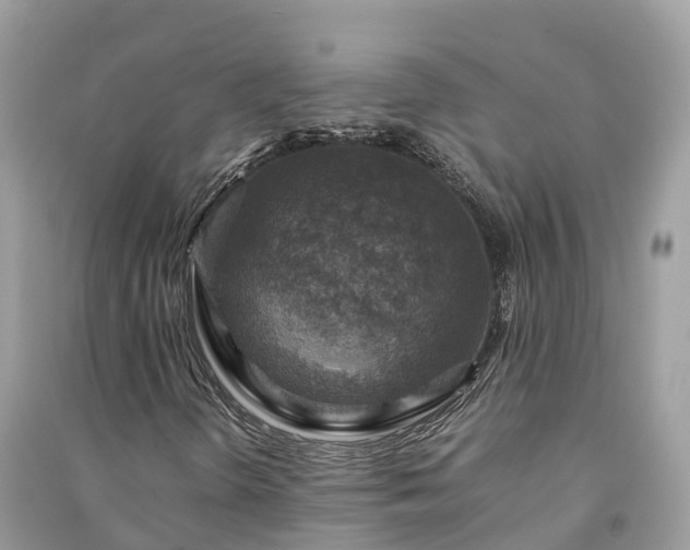 X0000091011298200708091553