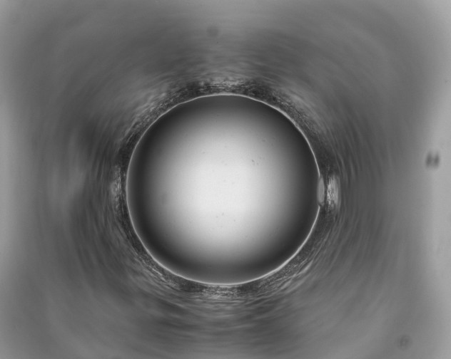 X0000091011299200708091553