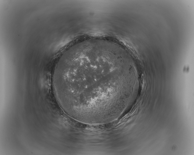 X0000091011301200708091553