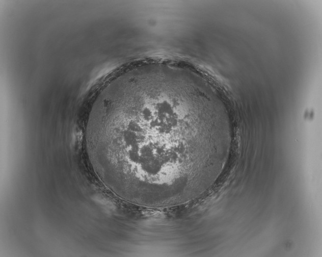 X0000091011302200708091553