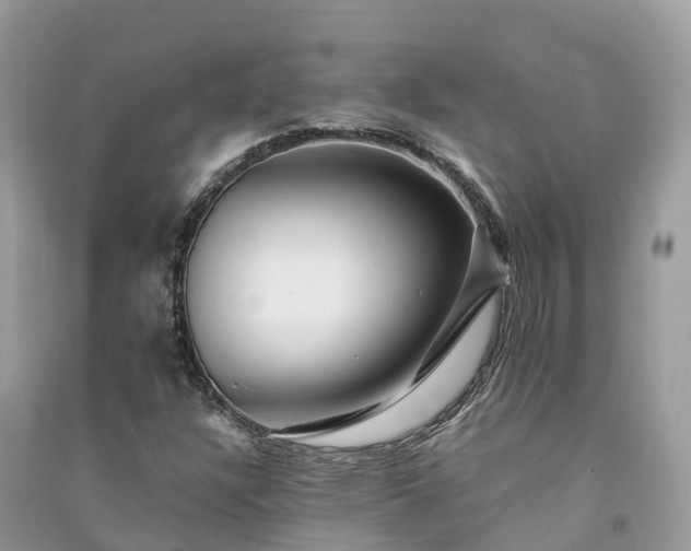 X0000091011304200708091553