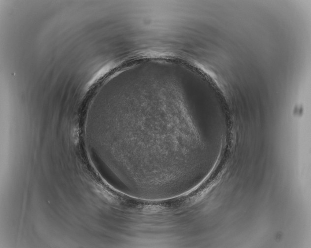 X0000091011306200708091553