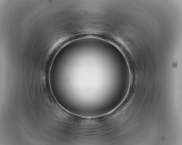 X0000091011307200708091553