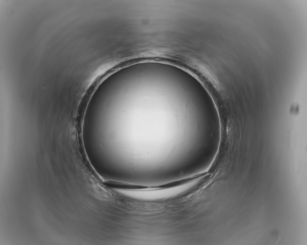 X0000091011308200708091553