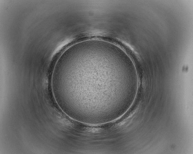 X0000091011309200708091553