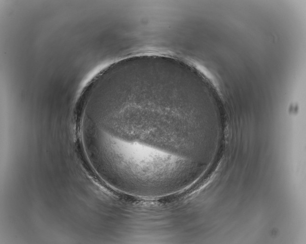 X0000091011310200708091553