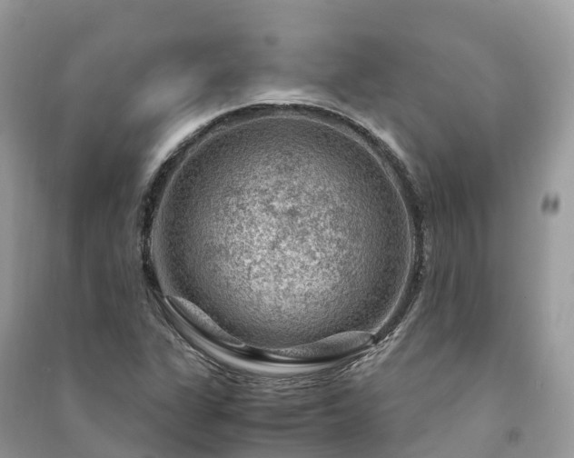X0000091011311200708091553
