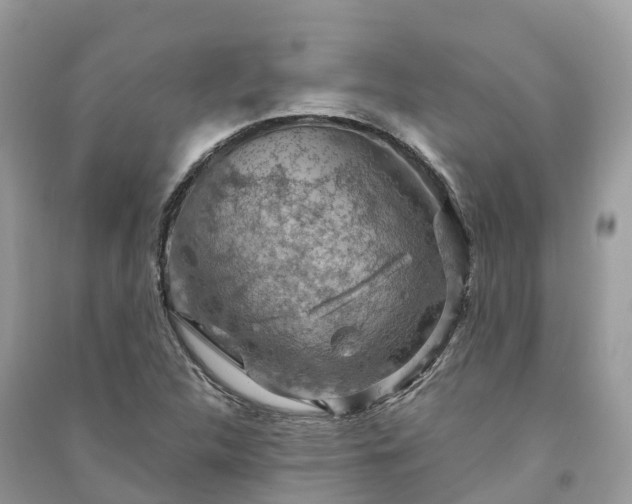 X0000091011312200708091553