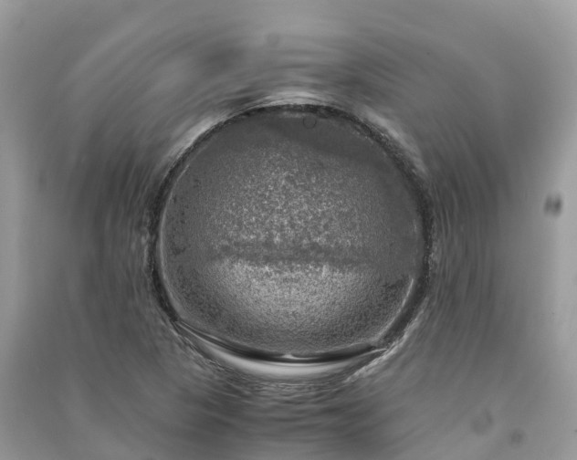 X0000091011313200708091553