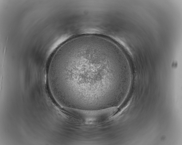 X0000091011317200708091553