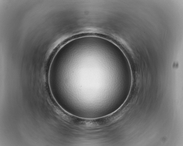 X0000091011318200708091553
