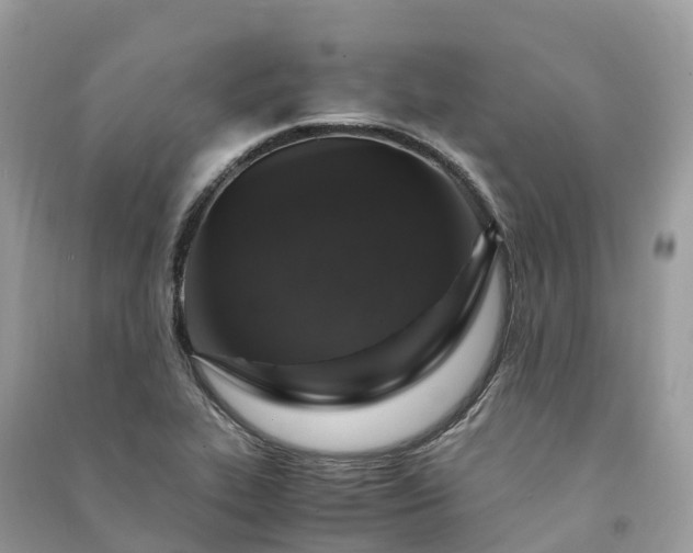 X0000091011319200708091553