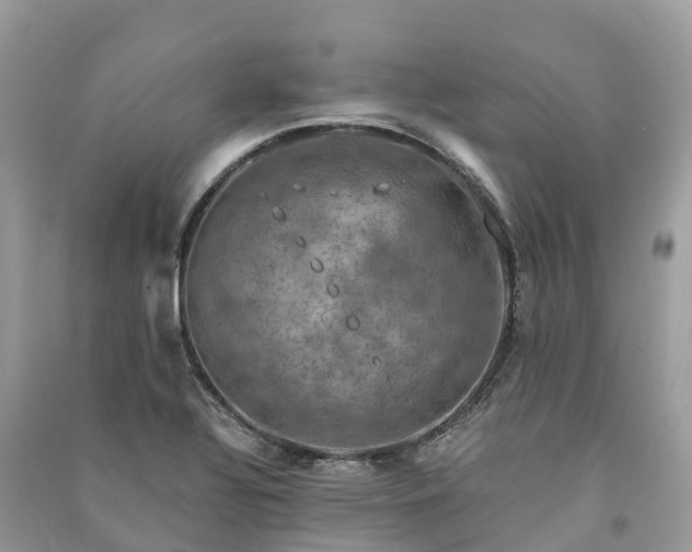 X0000091011320200708091553