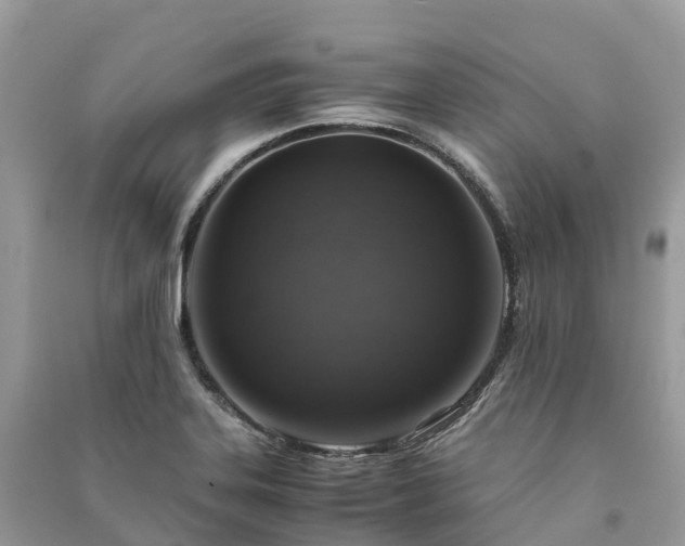 X0000091011323200708091553