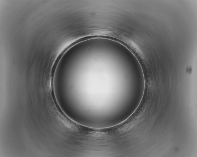 X0000091011324200708091553