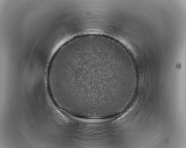 X0000091011325200708091553