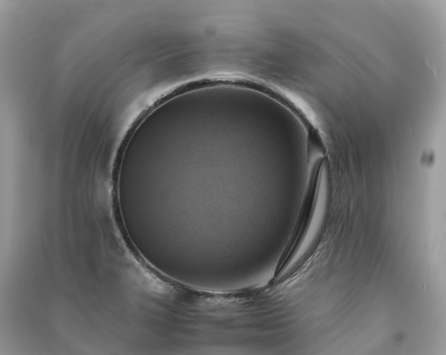 X0000091011327200708091553
