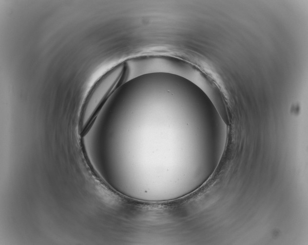 X0000091011328200708091553