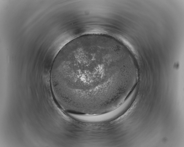 X0000091011329200708091553