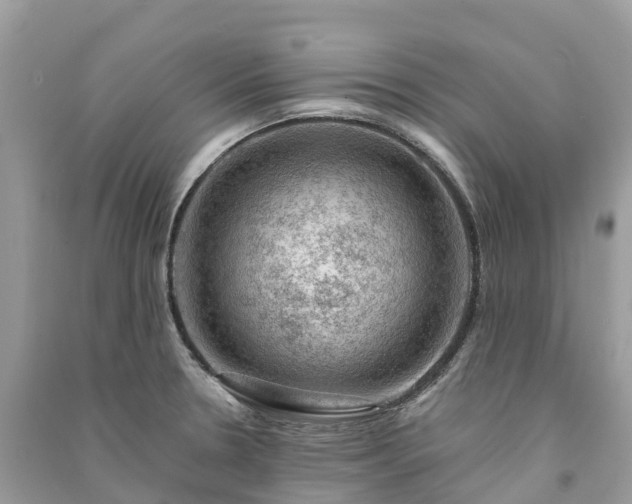X0000091011330200708091553