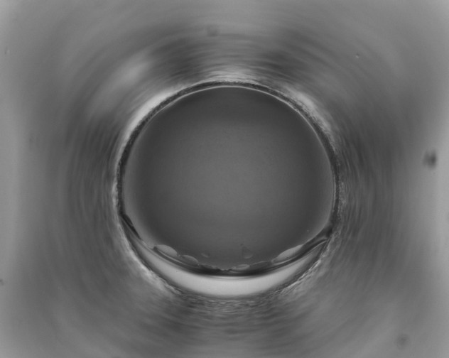 X0000091011331200708091553
