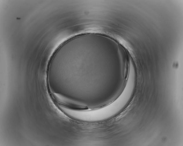 X0000091011334200708091553
