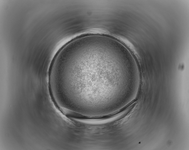 X0000091011335200708091553