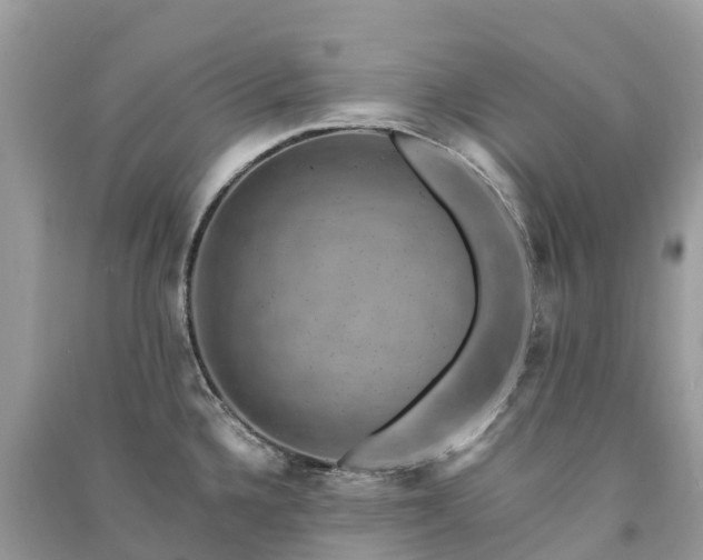 X0000091011336200708091553