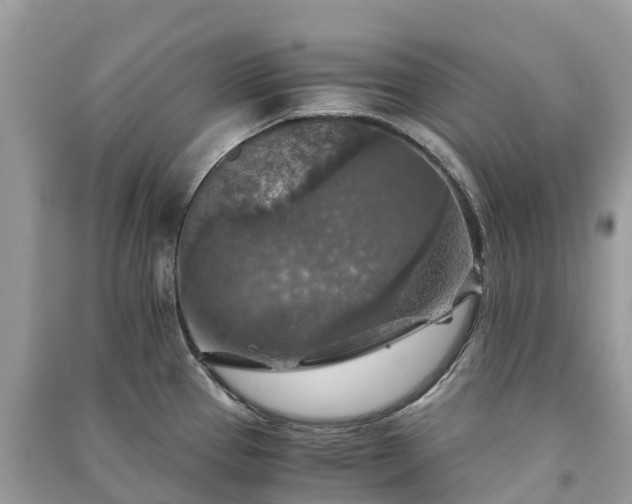 X0000091011337200708091553