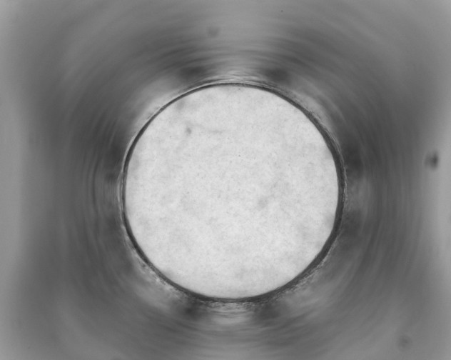 X0000091011338200708091553