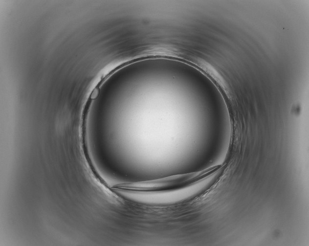 X0000091011339200708091553