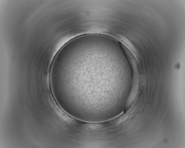 X0000091011340200708091553