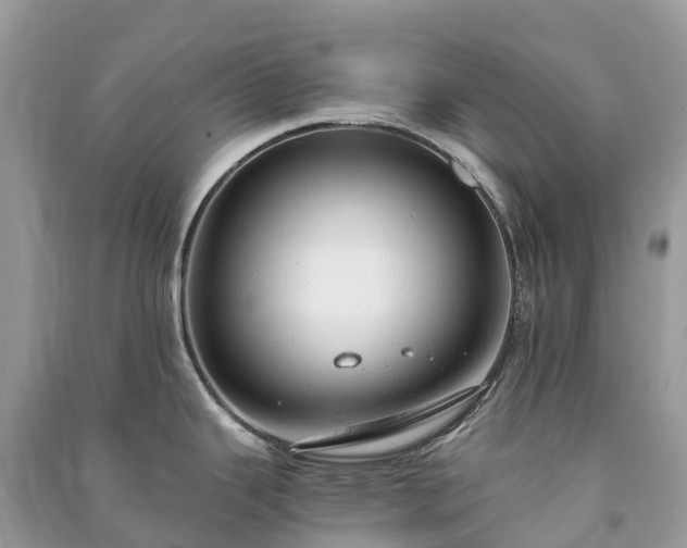 X0000091011343200708091553