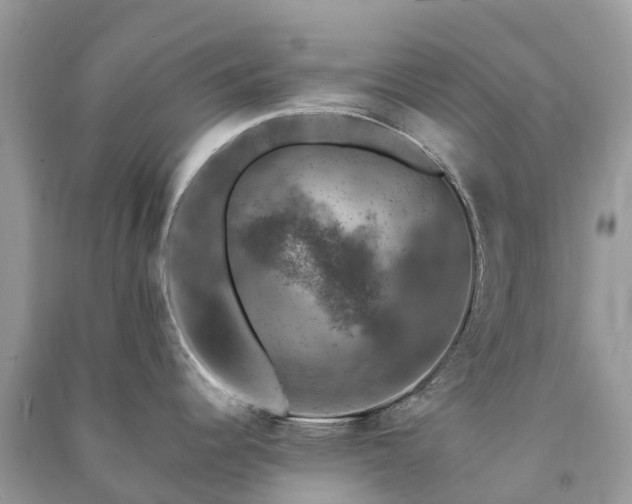 X0000091011344200708091553