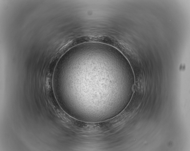 X0000091011346200708091553