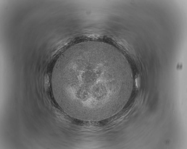 X0000091011347200708091553
