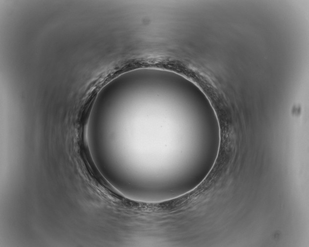 X0000091011349200708091553