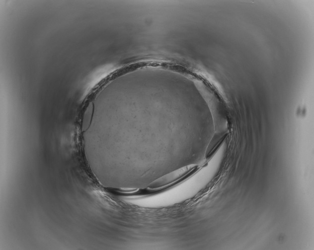 X0000091011352200708091553