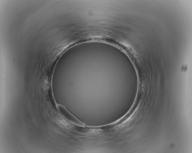 X0000091011353200708091553