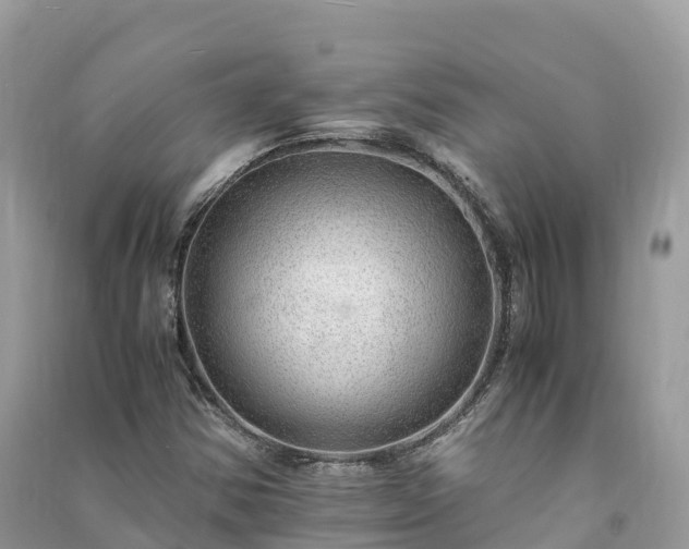 X0000091011354200708091552