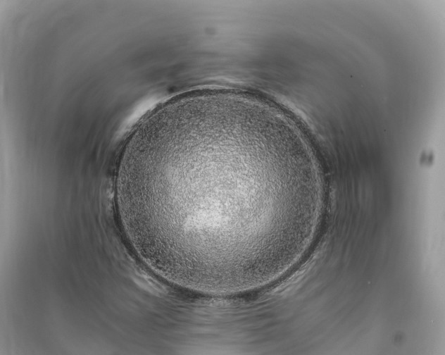 X0000091011355200708091552