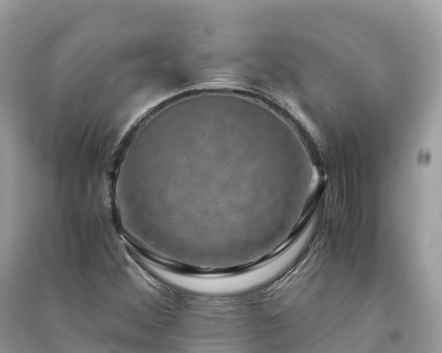 X0000091011356200708091552