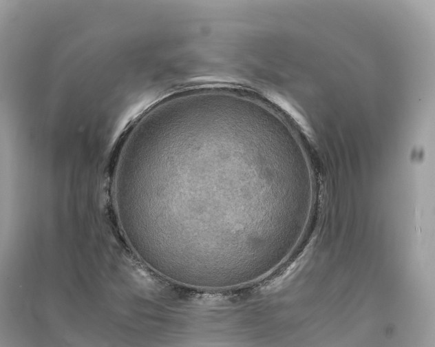 X0000091011357200708091552