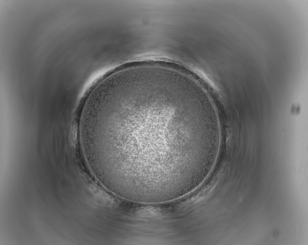 X0000091011358200708091552