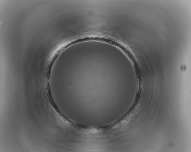 X0000091011359200708091552