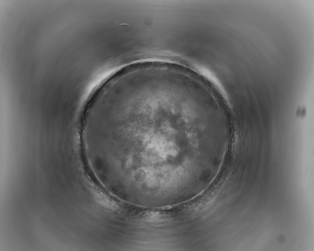 X0000091011360200708091552