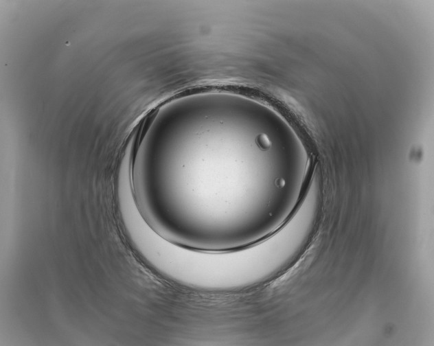 X0000091011361200708091552