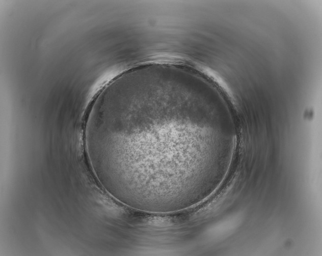X0000091011362200708091552