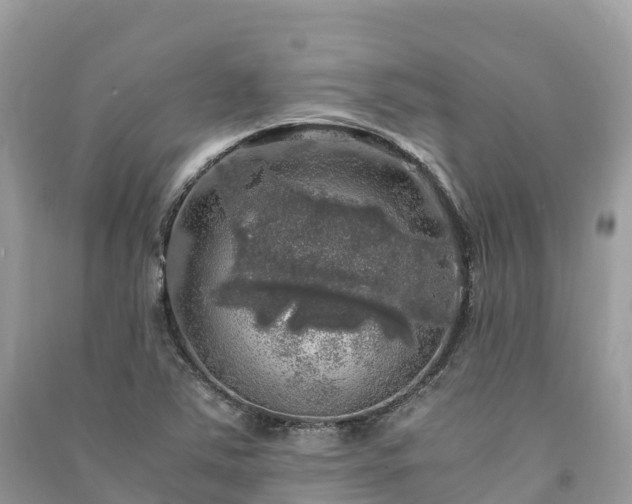 X0000091011363200708091552