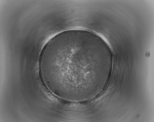 X0000091011364200708091552